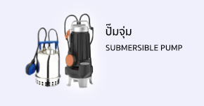 SubmersiblePump